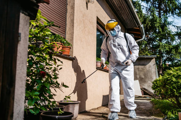 Insect Control in Chester, SC