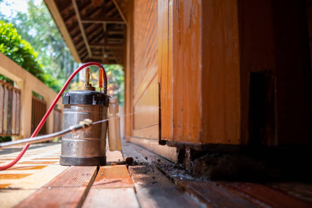 Best Wasp Removal Services  in Chester, SC