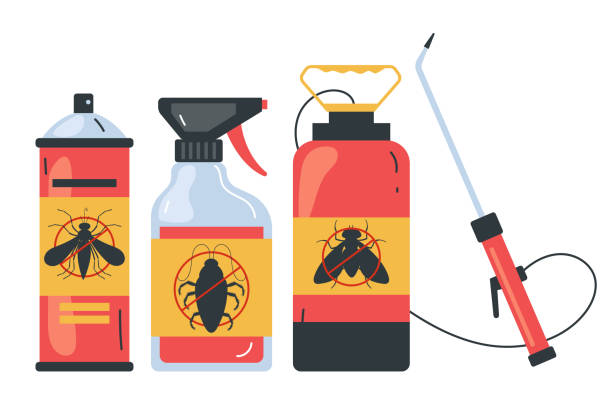 Best Insect Control  in Chester, SC