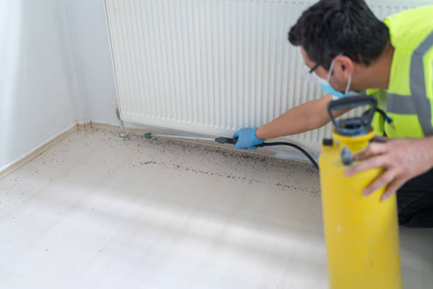 Best Best Pest Control Companies  in Chester, SC