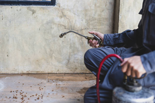 Best Pest Inspection Near Me  in Chester, SC